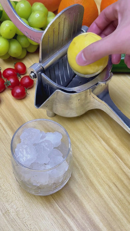 Squeezee™ Juice Genie